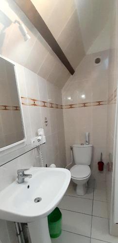 a bathroom with a white sink and a toilet at T2 avec terrasse, table de Ping-pong, parking privé au centre d'Azay in Azay-le-Rideau