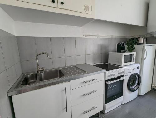 une cuisine avec un évier et une machine à laver dans l'établissement Rez de villa, jardin, parking à 10 minutes de la plage, à Bandol