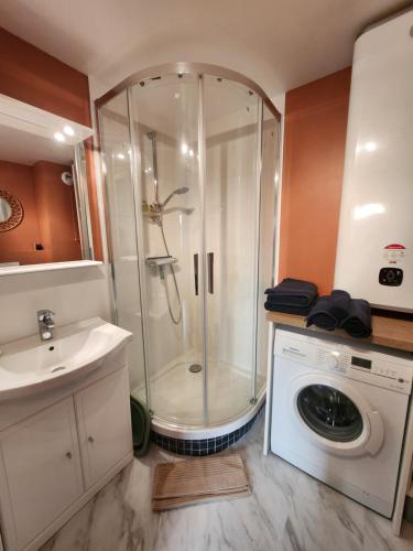 une salle de bain avec douche et machine à laver dans l'établissement Appartement Riva Bella 2 pièces à 200 m de la mer, à Ouistreham
