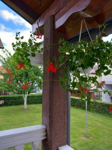 a pillar with a plant with red flowers on it at Apartment Ramdedovic1 in Sarajevo