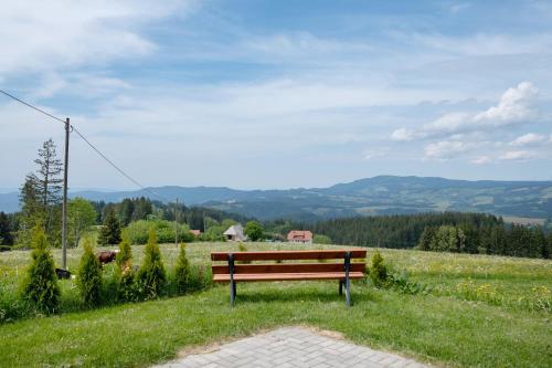 a bench sitting on a grassy hill with a view at Bäuerleshütte in Breitnau