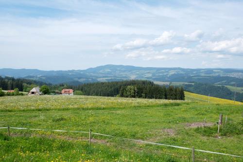 a field of green grass with a barn in the distance at Bäuerleshütte in Breitnau