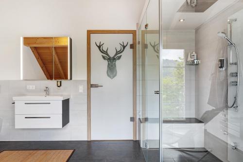 a bathroom with a shower and a sink at Schonzeit Chalet in Bernau im Schwarzwald