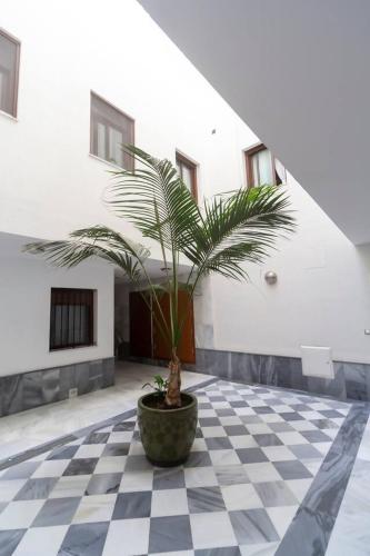 SH Piluca's Home. Moderno apartamento con patio