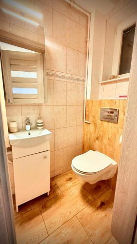 a small bathroom with a toilet and a sink at Pokój Słoneczna Idylla k Karpacza SAUNA JACUZZI in Podgórzyn