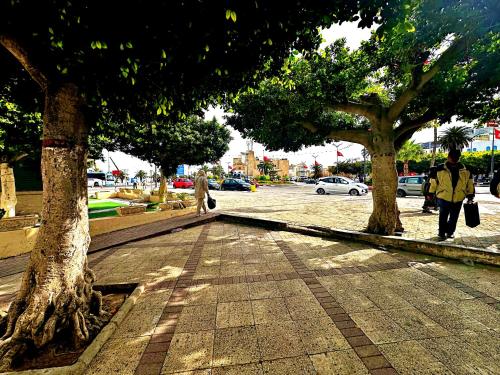 a person walking down a sidewalk next to trees at Hotel Paris in Sousse