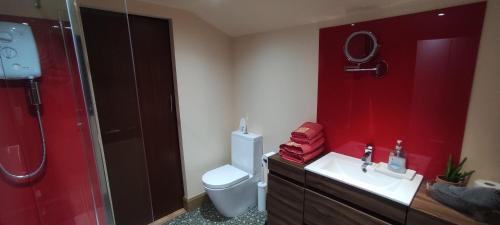 a bathroom with a toilet and a sink and a shower at Richmond Lane Guest House - AA Accredited in Romsey