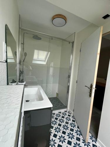 une salle de bain avec un lavabo et une douche dans l'établissement Charming Studio In Le Mans Chasse Royale, au Mans