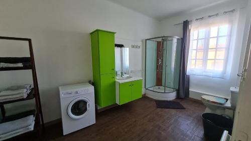 une salle de bain avec une machine à laver et une armoire verte dans l'établissement L'Agachoun Le Flamand Rose, à Arles