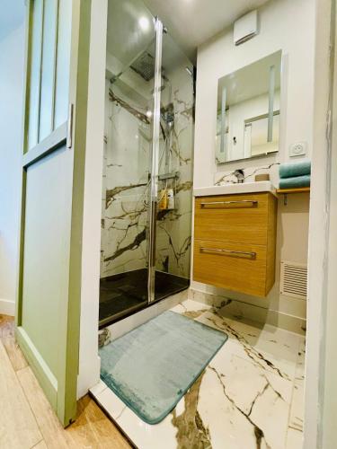 een badkamer met een douche met een glazen deur bij Studio L'Émeraude in Tournon-sur-Rhône