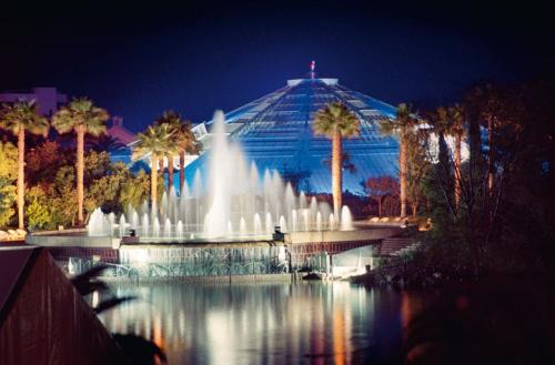 a fountain in front of a building with palm trees at Nice Promenade des Anglais in Nice