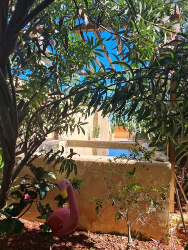 a pink flamingo sitting next to a tree at La Bocania in Progreso