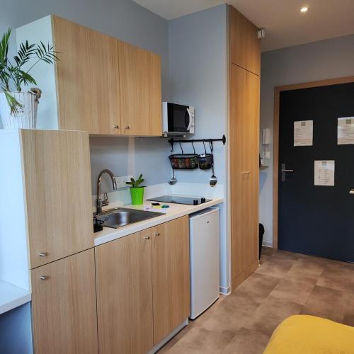 Elle comprend une petite cuisine avec des placards en bois et un évier. dans l'établissement Studio 74 Rénové et Équipé - Nancy CHRU,CESI,FAC, à Vandœuvre-lès-Nancy