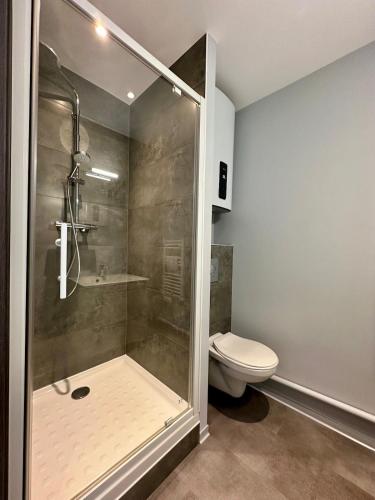 une salle de bain avec douche et toilettes dans l'établissement Studio 74 Rénové et Équipé - Nancy CHRU,CESI,FAC, à Vandœuvre-lès-Nancy