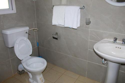 a bathroom with a toilet and a sink at Harmony house apartments in Ker Bakary