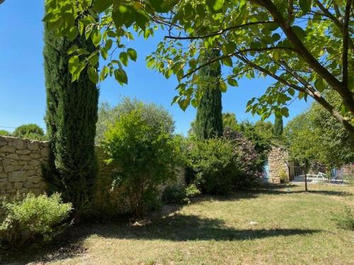 Photo de la galerie de l'établissement Mas Provençal, à Aubignan