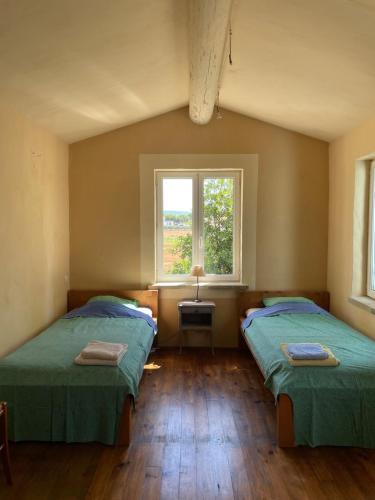 Photo de la galerie de l'établissement Mas Provençal, à Aubignan