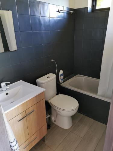 a bathroom with a toilet and a sink and a tub at Casa da Abelha- Beehouse in Romão
