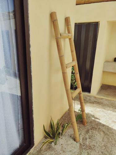 a wooden ladder leaning against a wall next to a window at Macarena Paredon in El Paredón Buena Vista