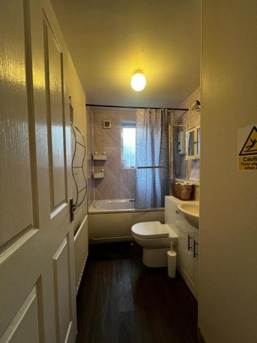 a bathroom with a toilet and a tub and a sink at Lovely 2 bedroom Back Hilton near PJ Live in Aberdeen