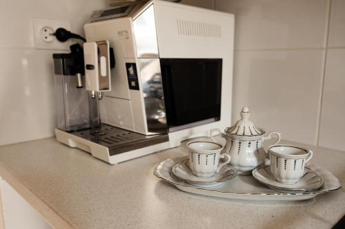 Kuchyň nebo kuchyňský kout v ubytování Apartament Zielony Motyl