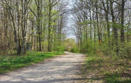 a dirt road through a forest with trees at Cozy Home In Dalby With Wifi in Dalby
