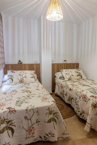 Apartamentos Cayetana