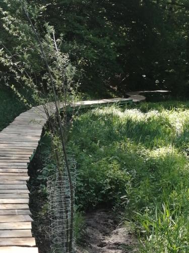 Zahrada ubytování Gîte dix-huit