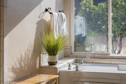 a bathroom with a sink and a window with a plant at Grapevine by AvantStay Secluded 5BR Villa 4 Acres of Vineyards Avo Groves in Temecula