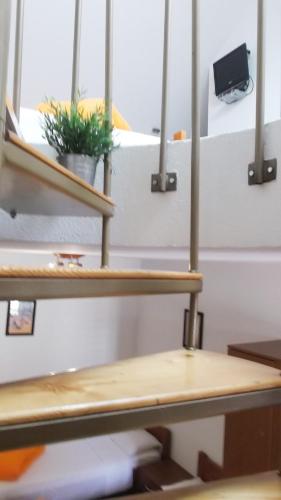 a shelf with a potted plant on it at Pansion Makina in Vodice