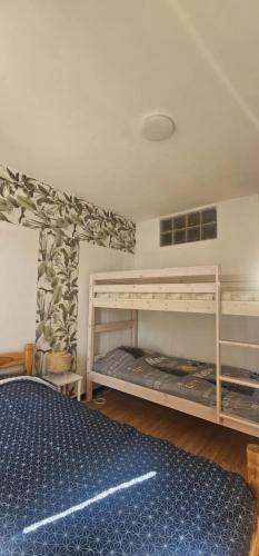 - une chambre avec 2 lits superposés et un tapis bleu dans l'établissement Avignon Grand 3 Chambres Parking Privé Gratuit, à Avignon