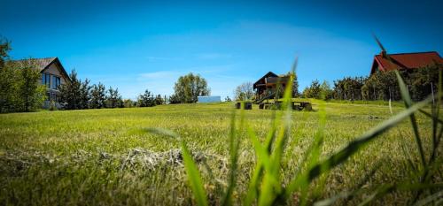 a field of green grass with houses in the background at Bajtkowski Zakątek in Bajtkowo