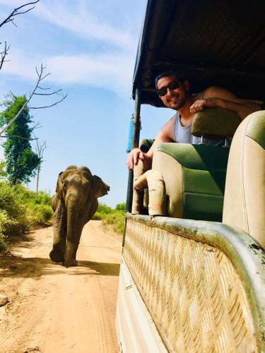 a man in a truck looking at an elephant at Tree House 4 Nature Lovers in Udawalawe