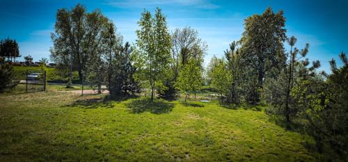 an aerial view of a field with trees at Bajtkowski Zakątek in Bajtkowo
