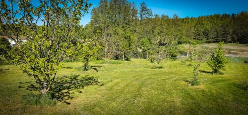 a field of grass with trees in the background at Bajtkowski Zakątek in Bajtkowo