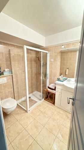 une salle de bain avec une douche, des toilettes et un lavabo dans l'établissement Studio basse californie cannes, à Cannes