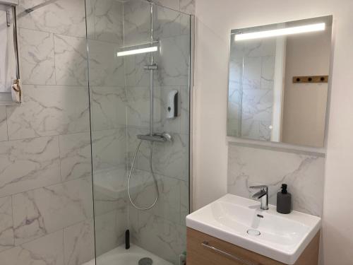 Un baño con ducha con lavabo y espejo. en Appartement cosy aux portes du Touquet Paris Plage, en Cucq