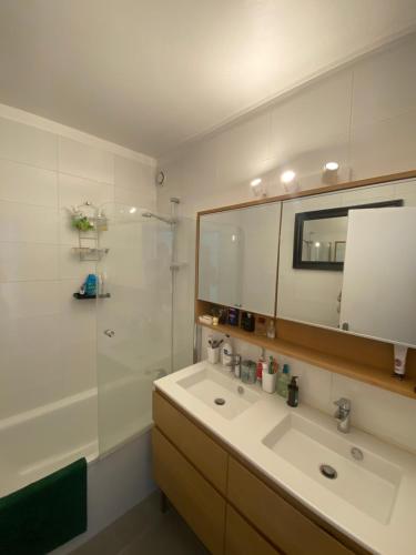 une salle de bain avec un lavabo, une douche et un miroir dans l'établissement Spacious and Elegant 3 Bedrooms Apartment near Metro and Bois de Vincennes, à Paris