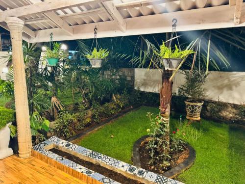 a garden with potted plants in a room at Trinco Chill Zone Hostel in Trincomalee