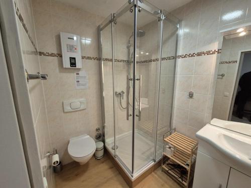 un bagno con doccia, WC e lavandino di FeWo 1 im ehemaligen Geschenkehaus a Monschau