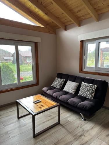 a living room with a black couch and a coffee table at Petruleufu in Pucón