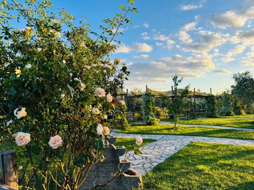 Zahrada ubytování Agriturismo La Terrazza su Farfa