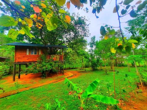 a small house in the middle of a forest at Tree House 4 Nature Lovers in Udawalawe