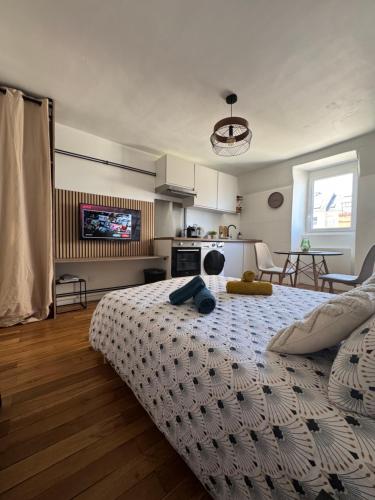 ブールジュにあるCharmant Appartement au Coeur de Bourges 24のベッドルーム1室(ベッド1台付)、キッチン