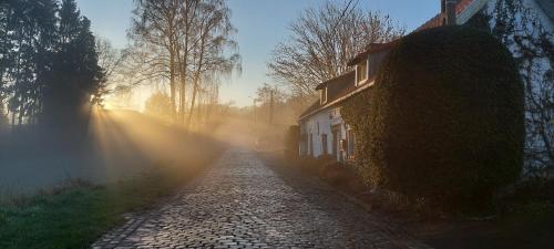 a cobblestone road next to a house with the rays of sunlight at La Quitapenas in Ronse