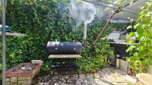 an outdoor grill with a suitcase in a garden at Villas de Nazare in Maceira