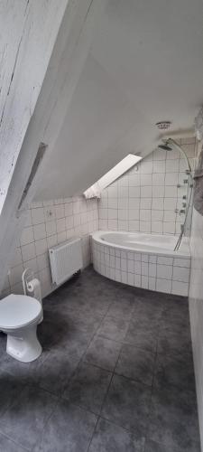 a bathroom with a toilet and a bath tub at Arzberger Monteurhaus in Arzberg