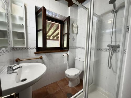 a bathroom with a toilet and a sink and a shower at El Tirao de Suesa - 34800 in Suesa