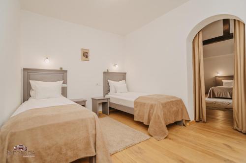 a bedroom with two beds and a mirror at Veranda Panzio in Remetea