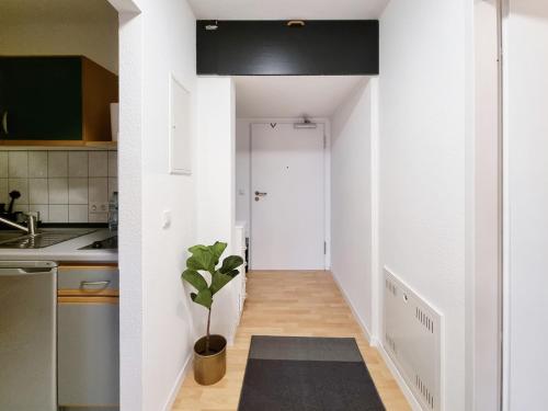 a hallway of a kitchen with a plant in it at Charmante 1-Zimmer Wohnung in Jena Winzerla in Jena